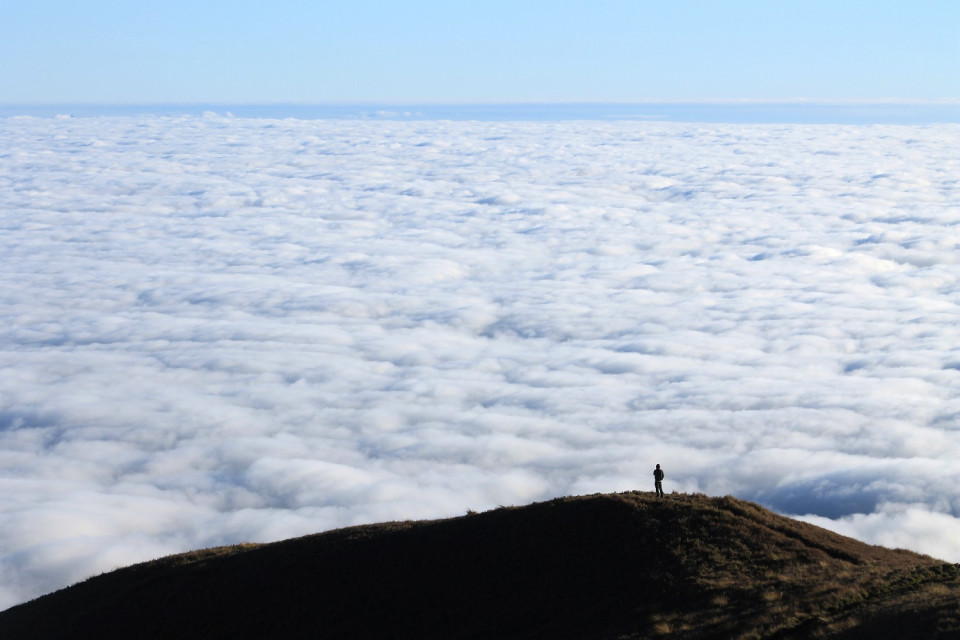 Filipinas, Cima del Monte Pulag, sobre un mar de nubes