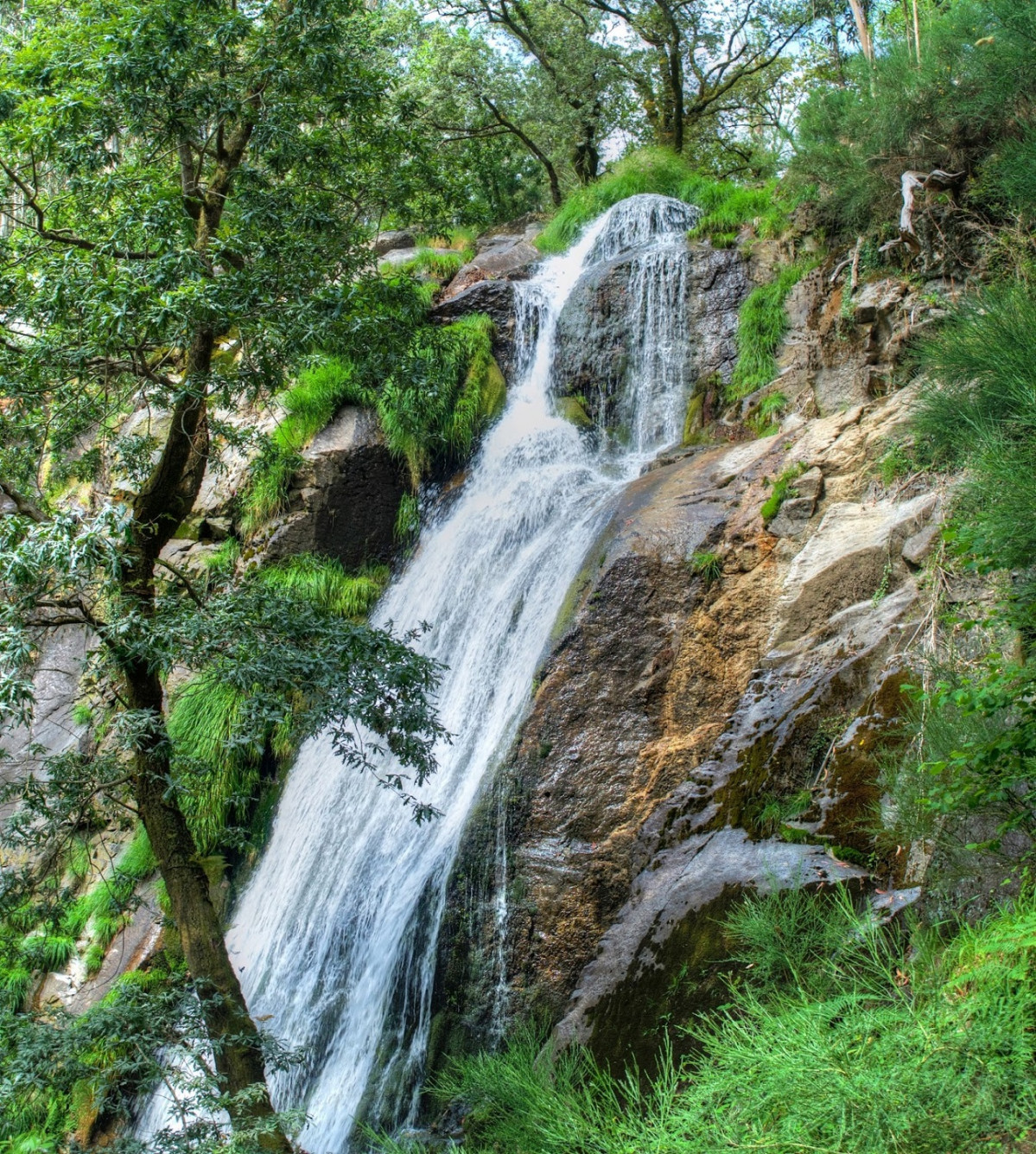 FERVENZA DE RIBASIEIRA JUNIO 2016 7 (1)