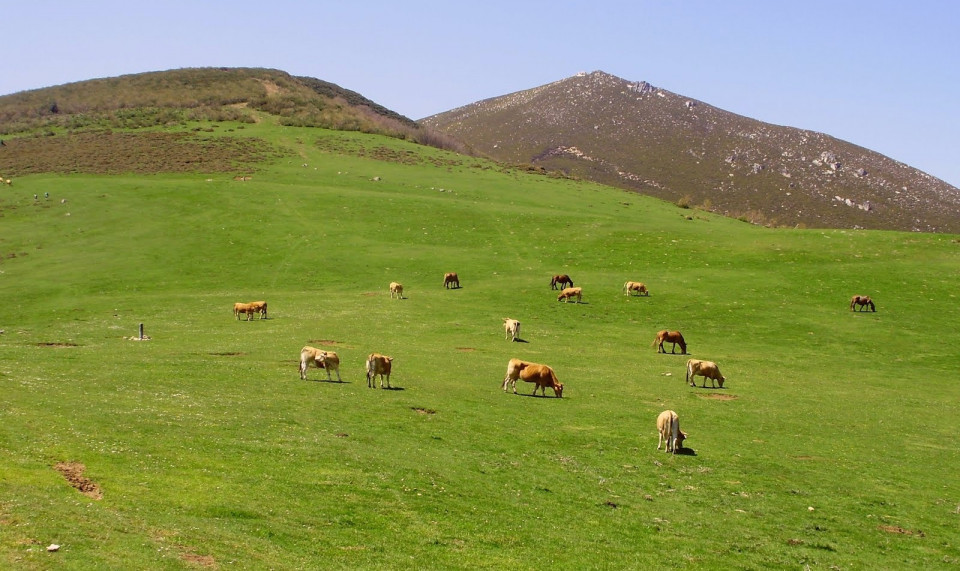 León, Braña de Salencia