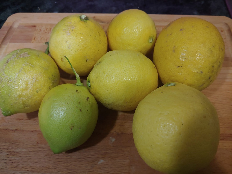 Limones de Buelles, Asturias