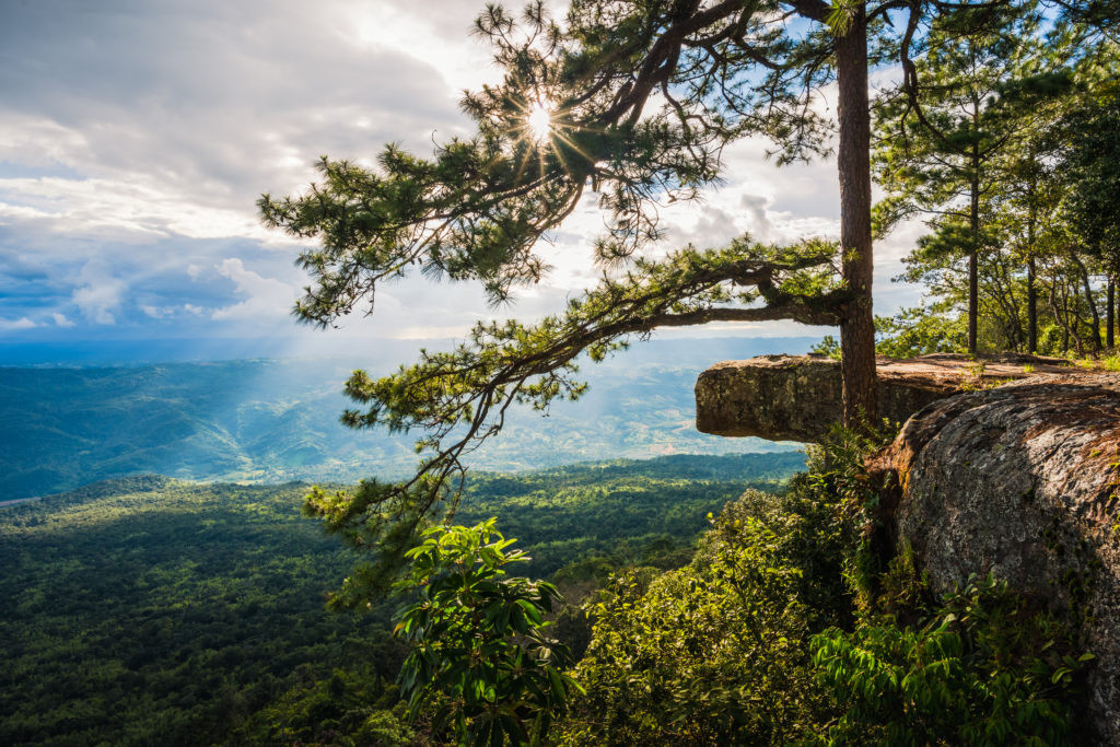 Phu Kradueng