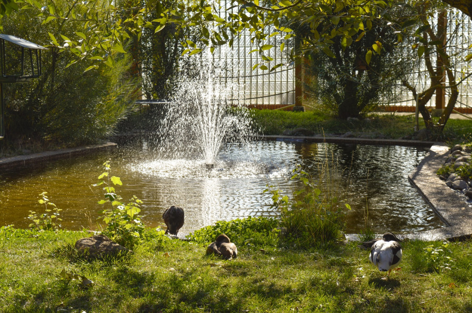 Burgos, Centro de Divulgacion de Aves