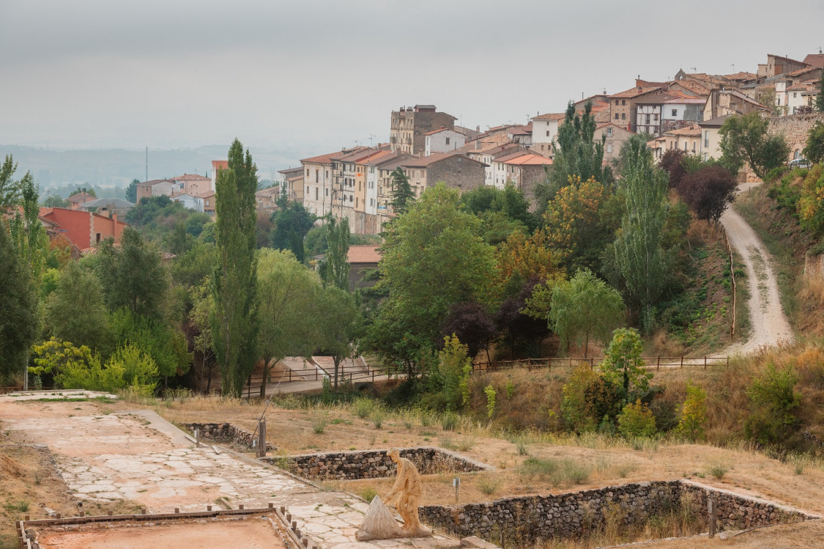 Poza de la Sal, Burgos