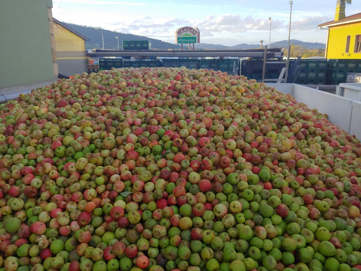 Manzanas preparaas para mayar