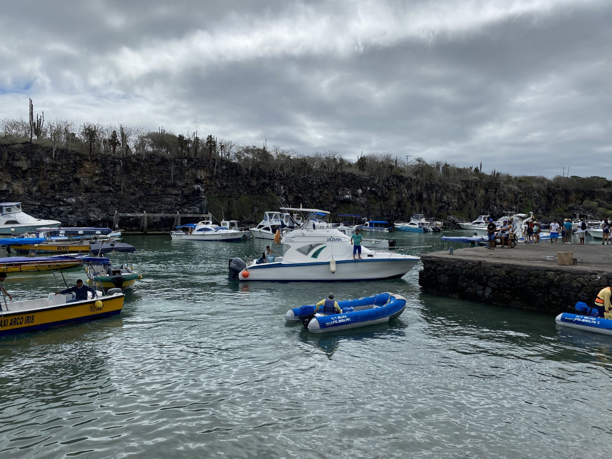 Puerto Ayora, Isla Santa Cruz, las Islas Galu00e1pagos, Ecuador.