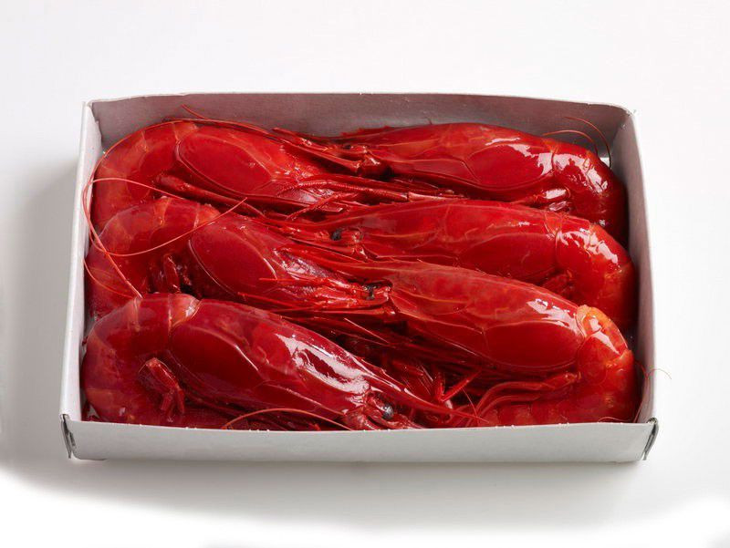 CARABINEROS 