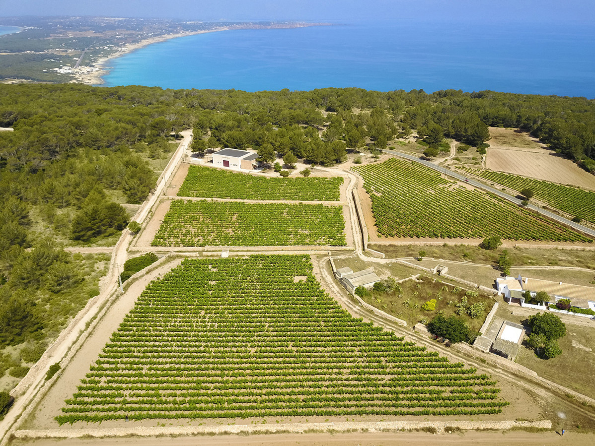 12   Gastronomia   Bodega Terramoll