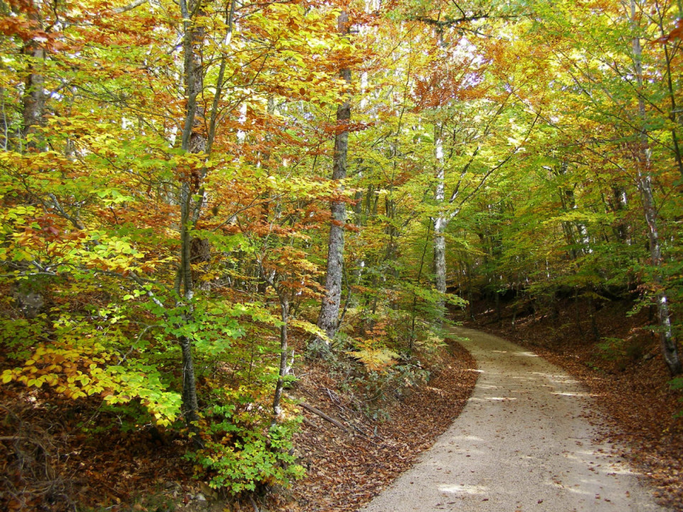 Burgos, Vía Verde de la Sierra de la Demanda