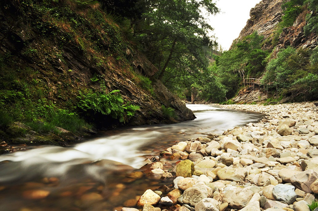 Hoces del Esva, Paredes