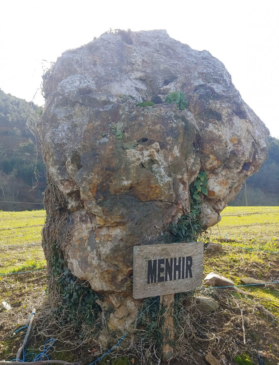 El Menhir de Paredes