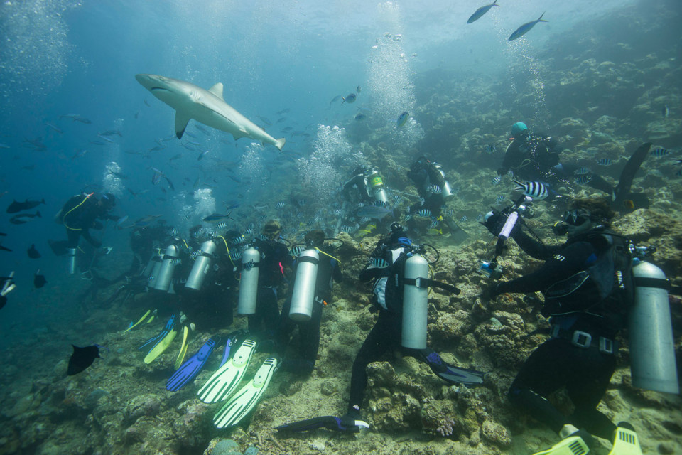 Viti Levu, en Fiji, sus aguas un paraiso para el buceo