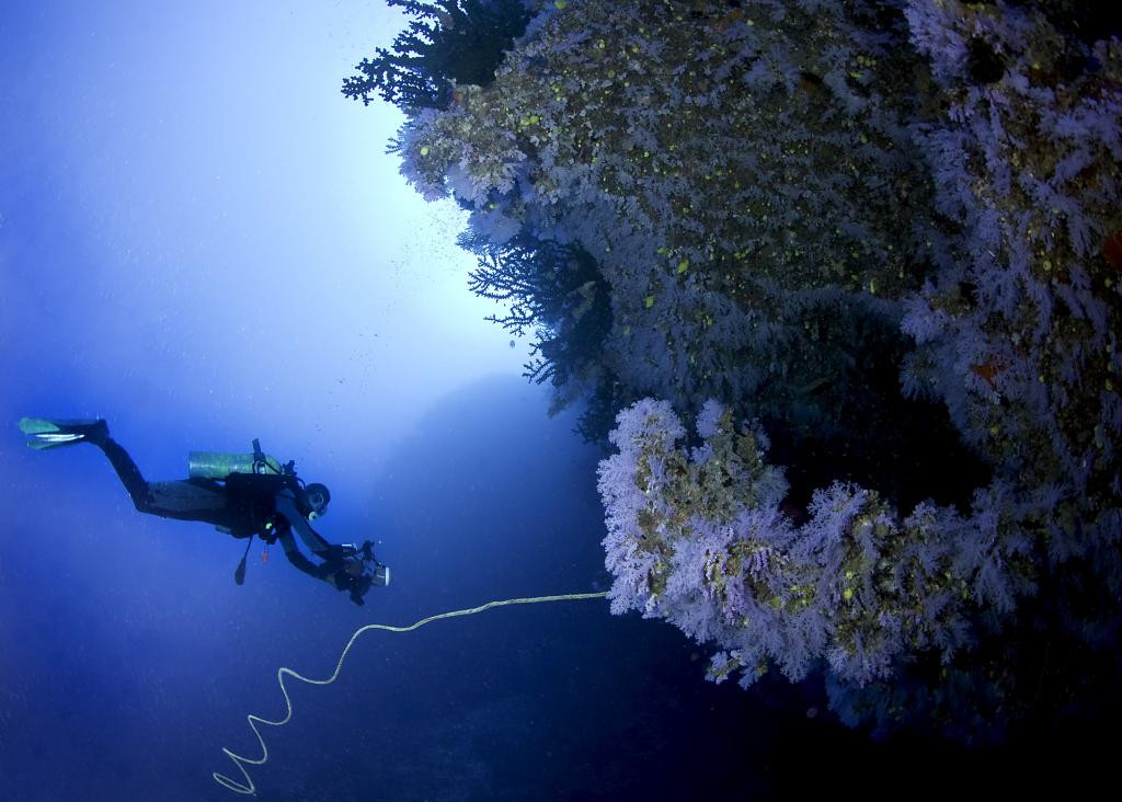 Buceo Pared Blanca