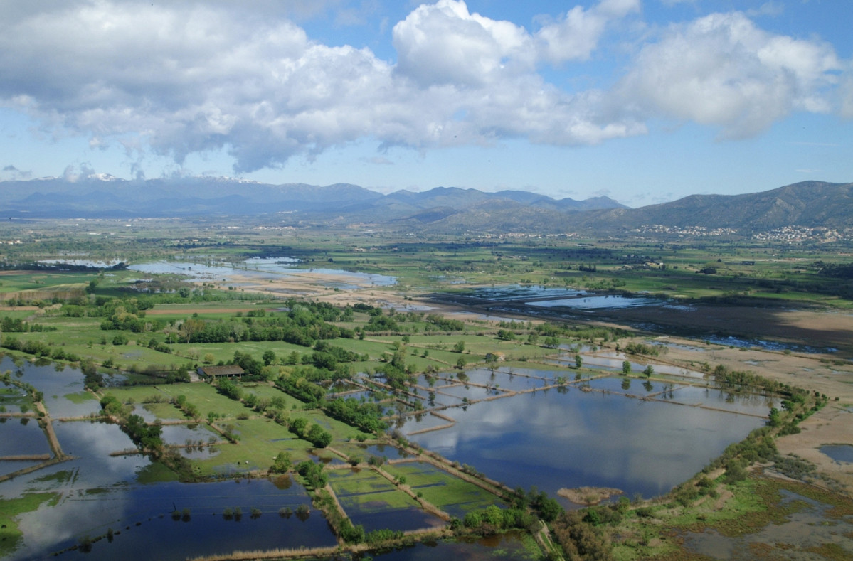 01 Aiguamolls Emporda 