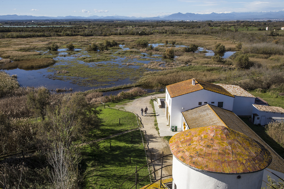 10 ROSES Aiguamolls de l'Empordu00e0 (Mirador Senillosa)