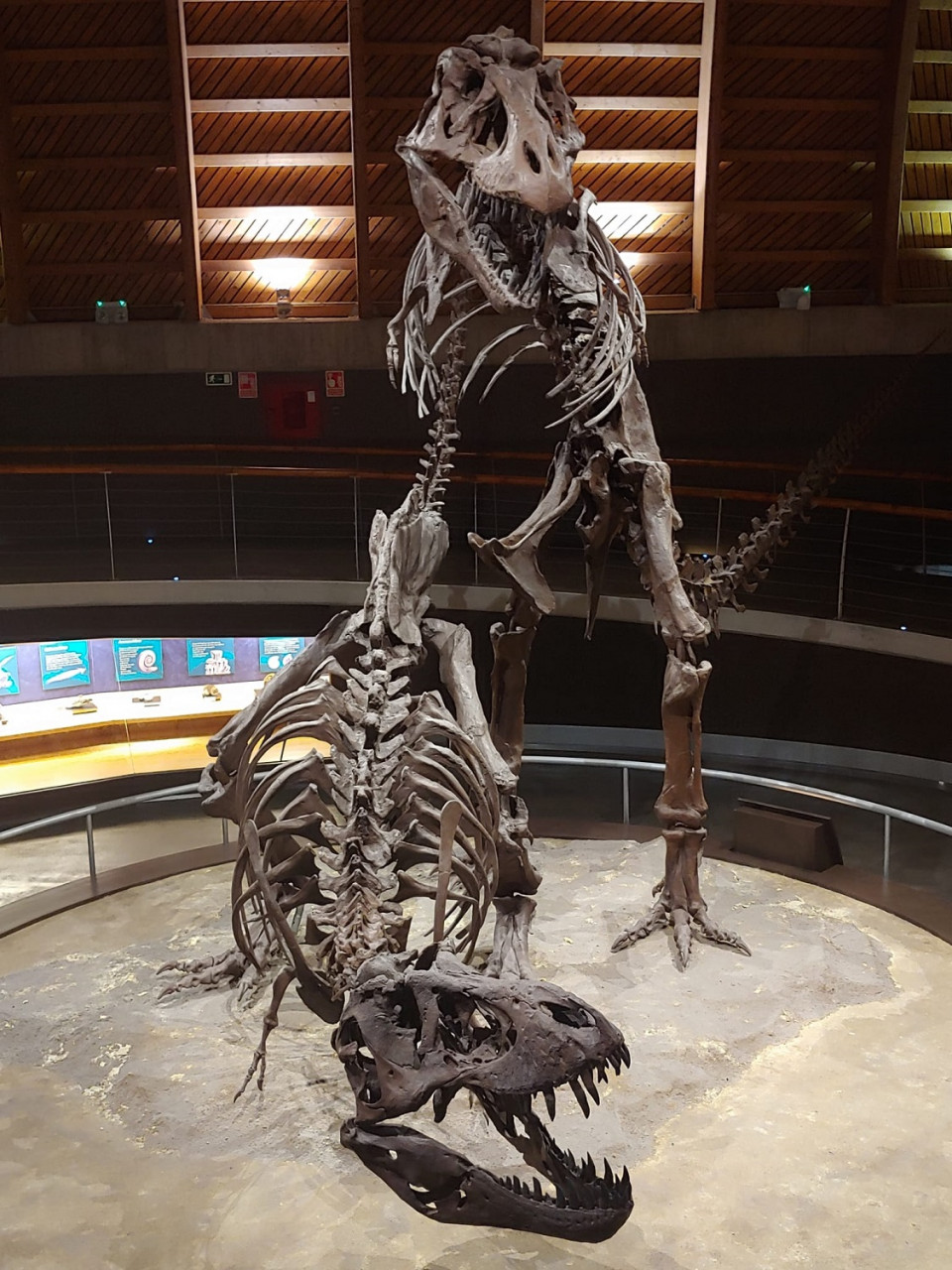 Sala interior del Museo de los Dinosaurios, Colunga, (Asturias)