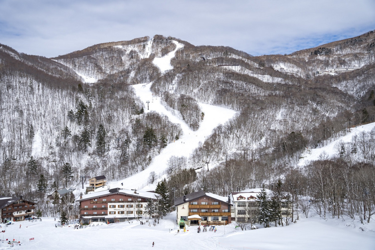 Shiga giantu00a9Nagano Tourism Organization (1)