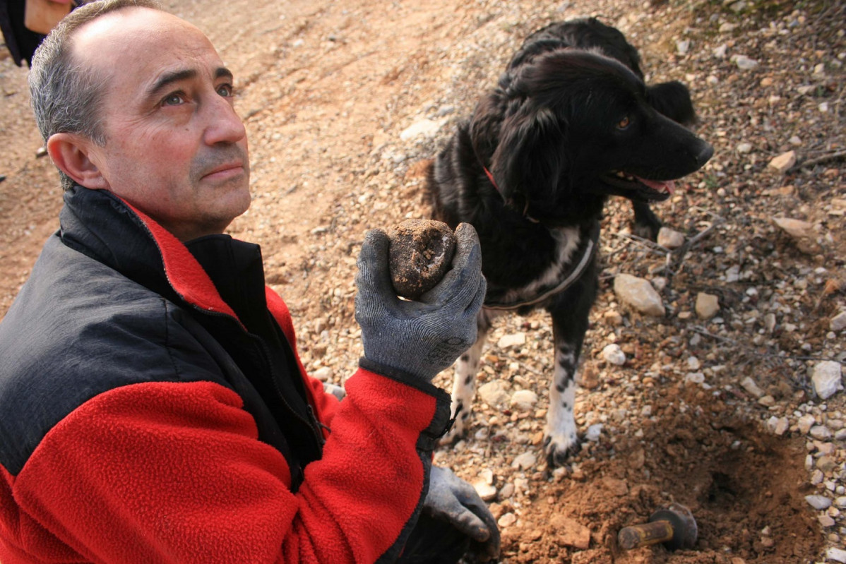 Caza de la Trufa en Soria 4a