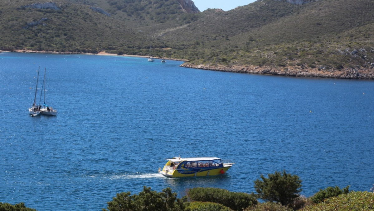 Excursion cabrera barco