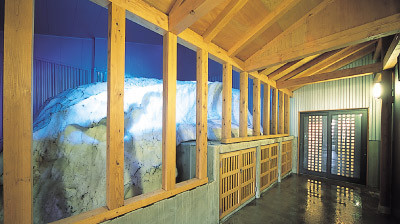 Sala de nieve de la bodega