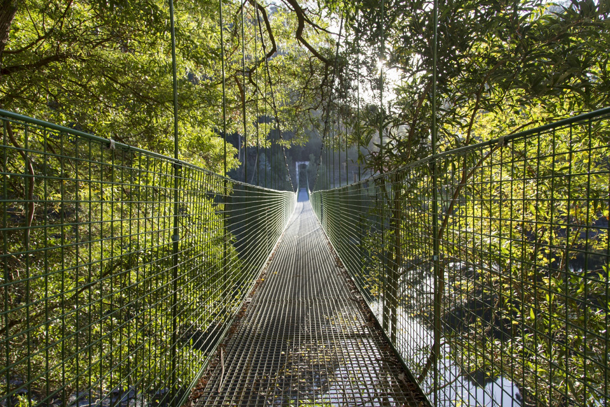 Ponte do tambre