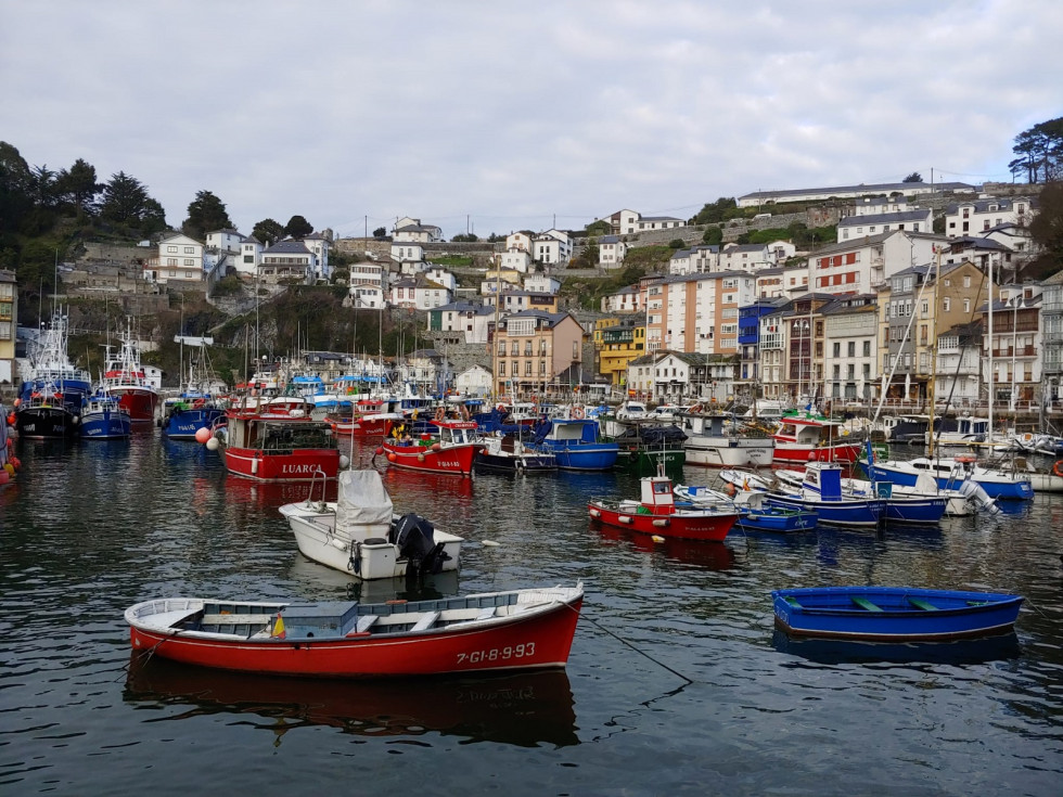 La Villa marinera de Luarca, vivió unas intensas jornadas de exhibición floral