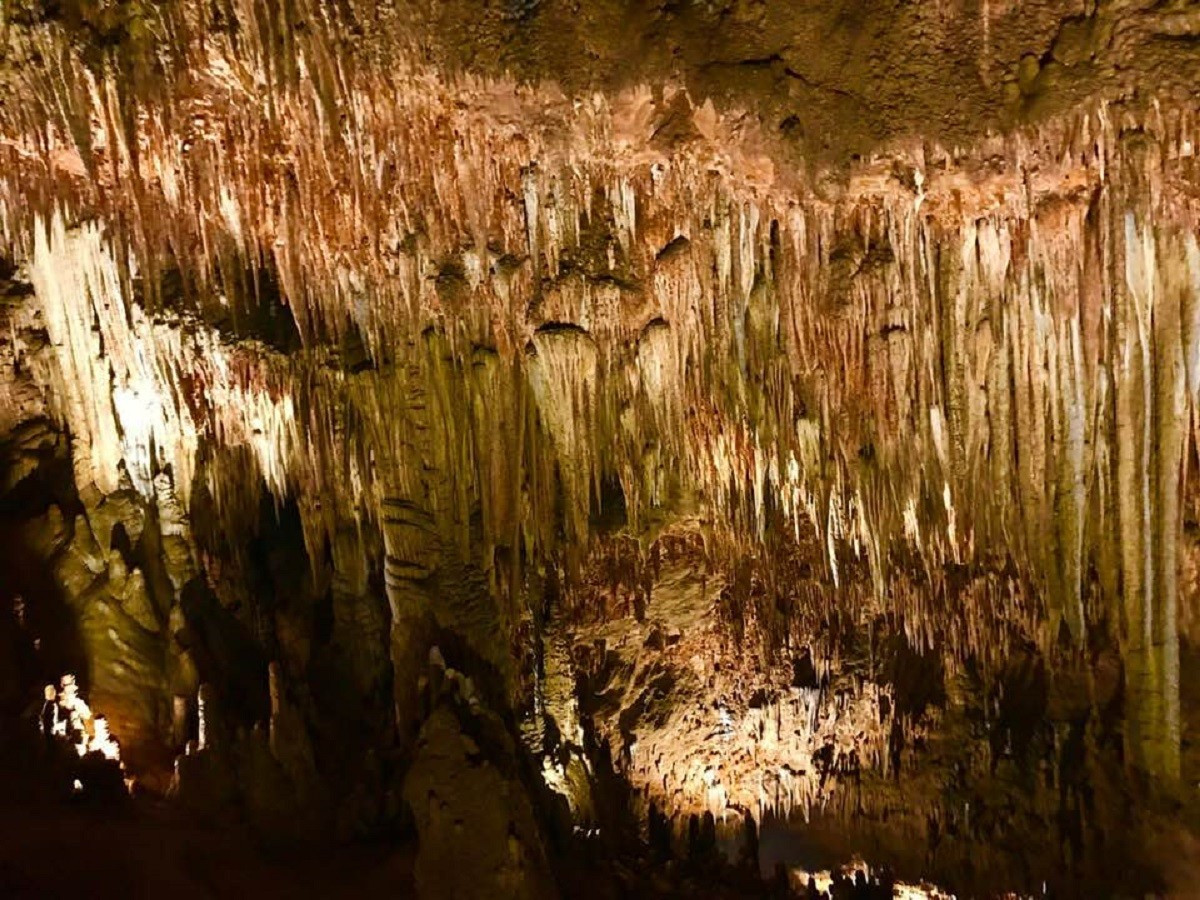 Cueva palomera burgos 43446 xl