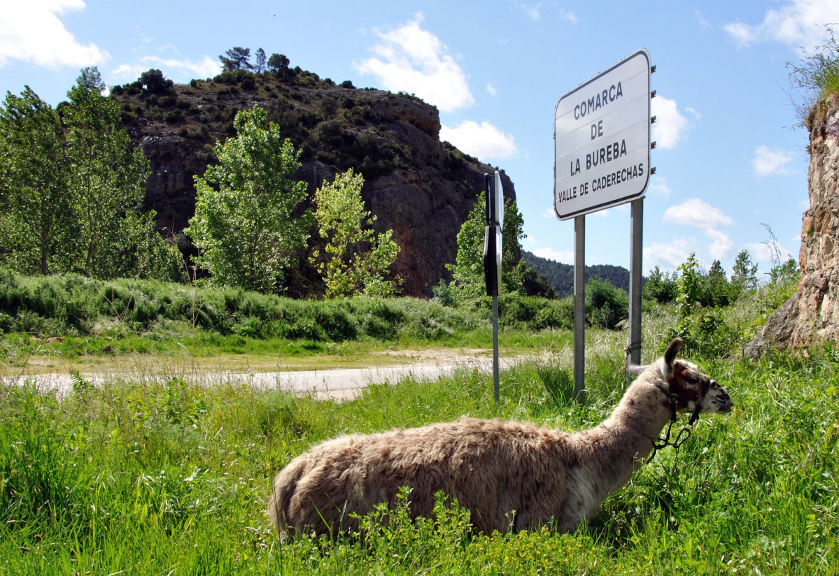 Sodebur Bienvenidos al Valle de las Caderechas