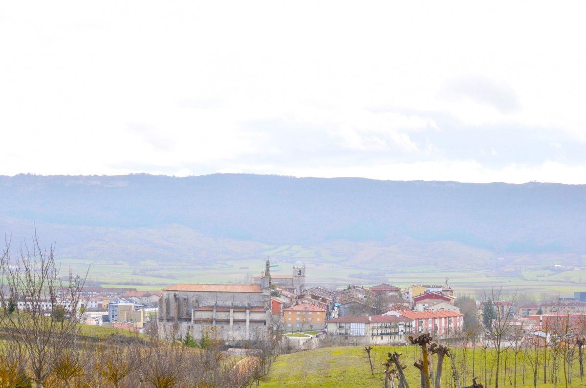 Vista panoramica de Salvatierra Agurain