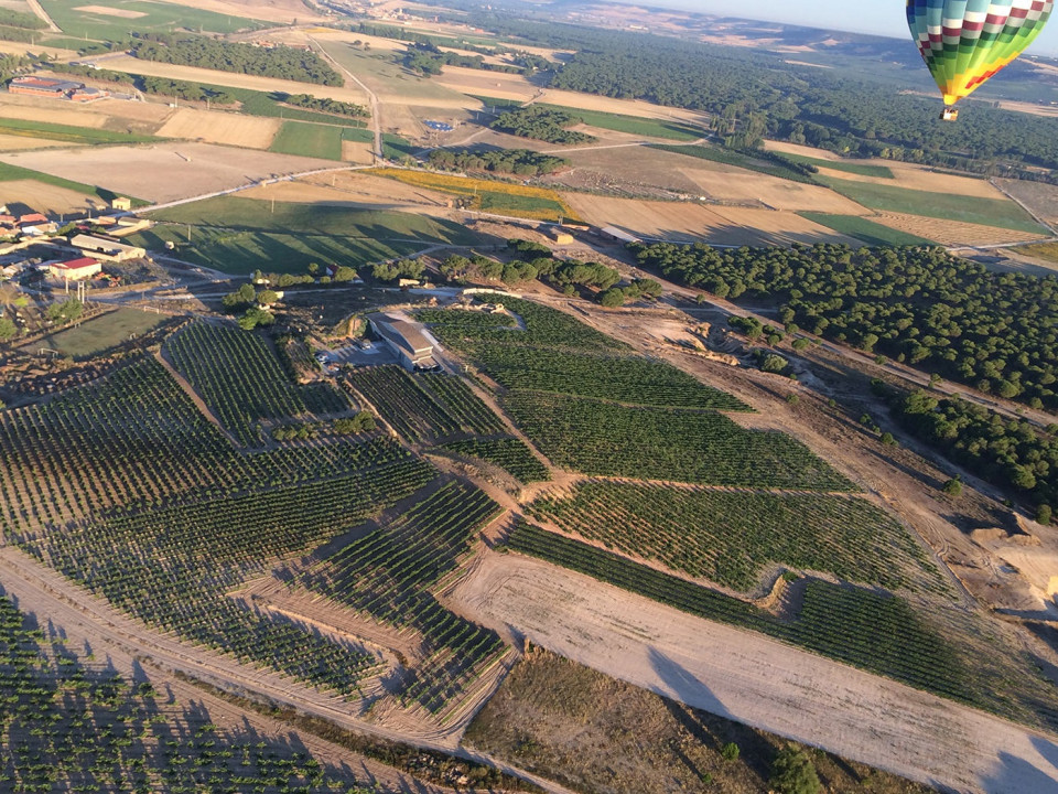 Panoramica aerea de la Bodega Tr3smano. Padilla de Duero