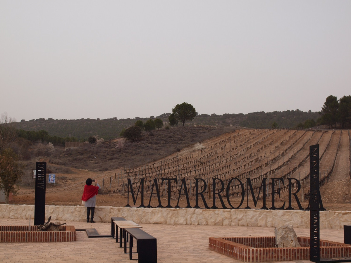 MATARROMERA