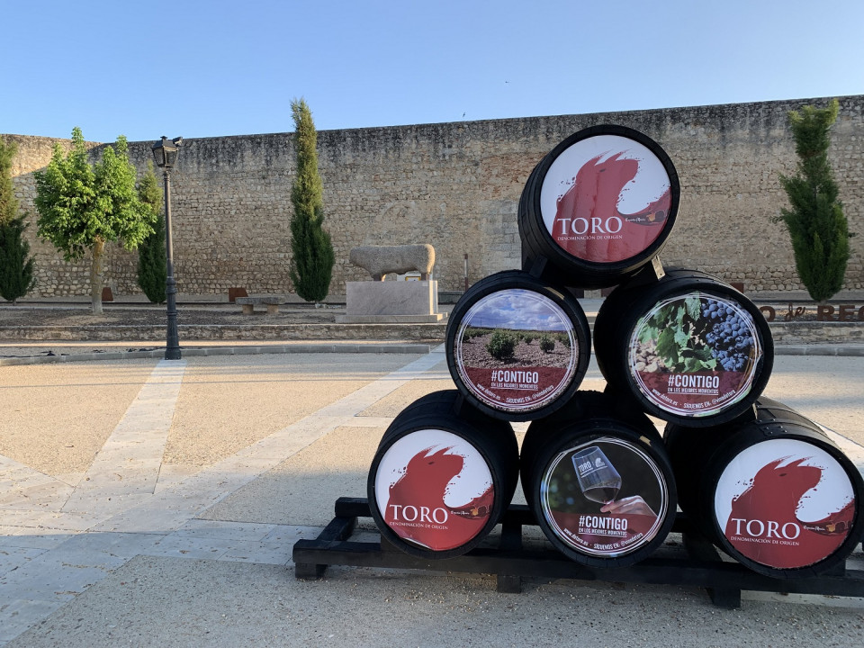 Toro, Verraco simbolo de la ciudad y cubas de uno de sus productos mas reconocidos,, el Vino @Anton Alonso