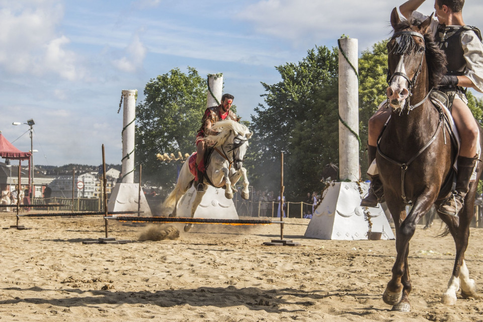 Exhibicion de doma de caballos