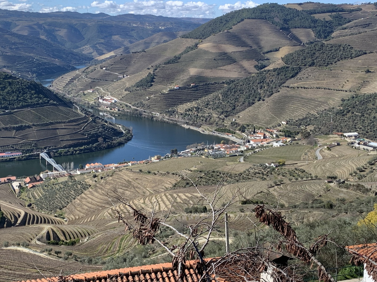 Viu00f1edos del Duero, desde Casal de Loivos, en Aliju00f3 (Portugal)