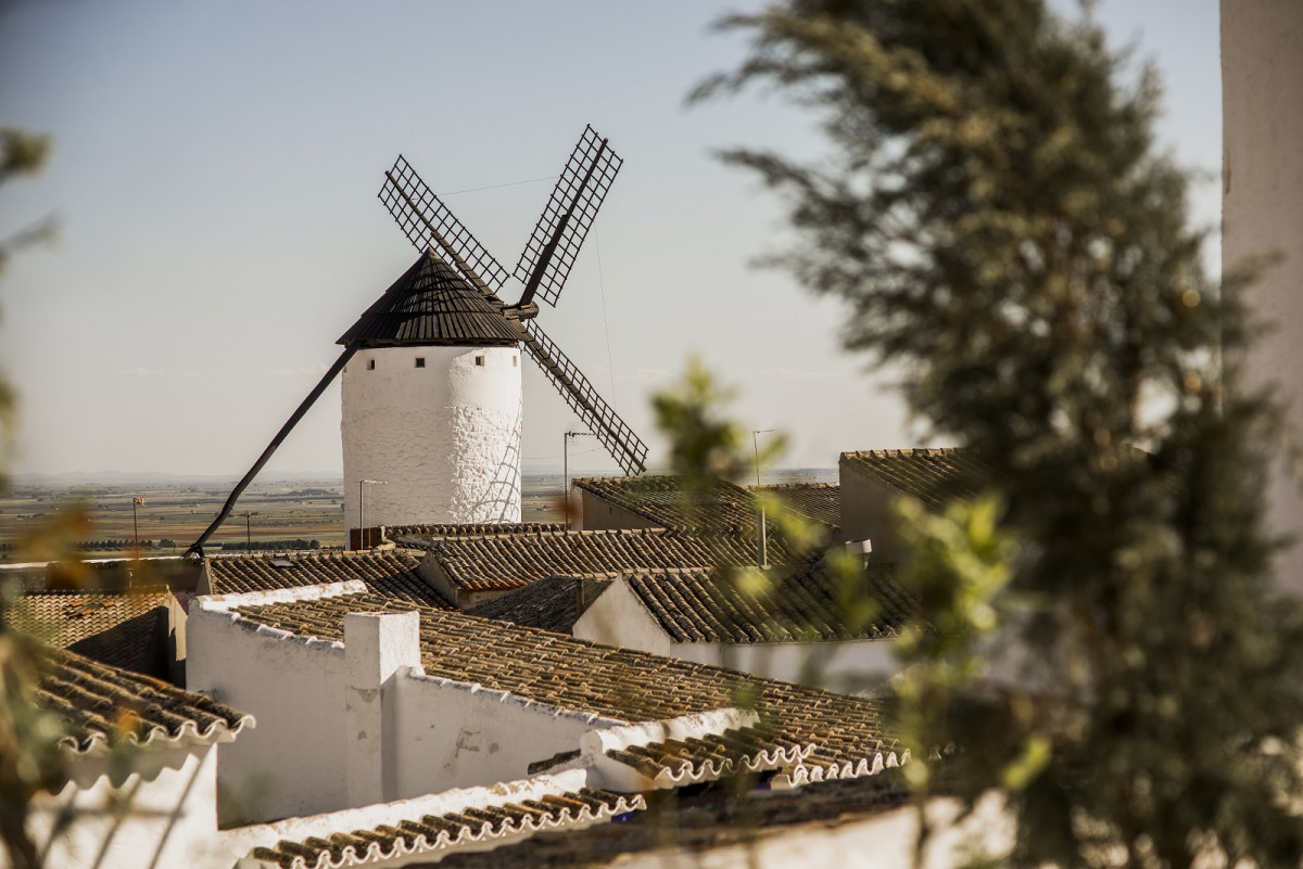 Ruta Vino La Mancha   Campo Criprtana molino tejados