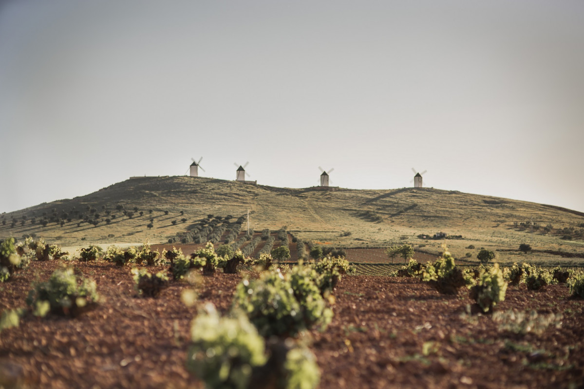 Ruta Vino La Mancha  Viu00f1a y molinos