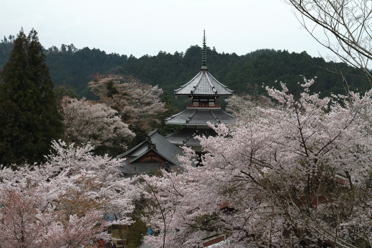 Hirosaki Castle