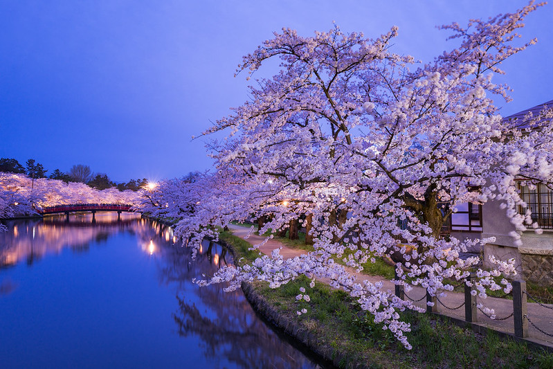 Hirosaki Park (1)