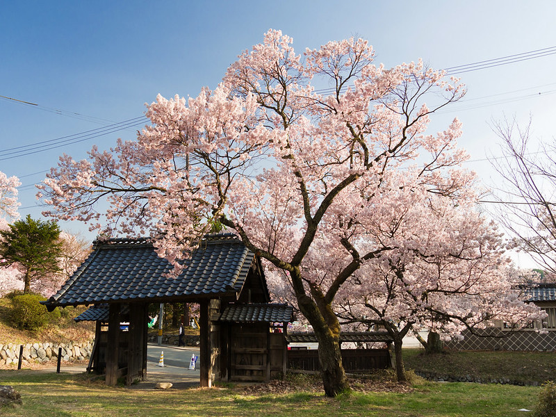 Takato Castle Ruin Park
