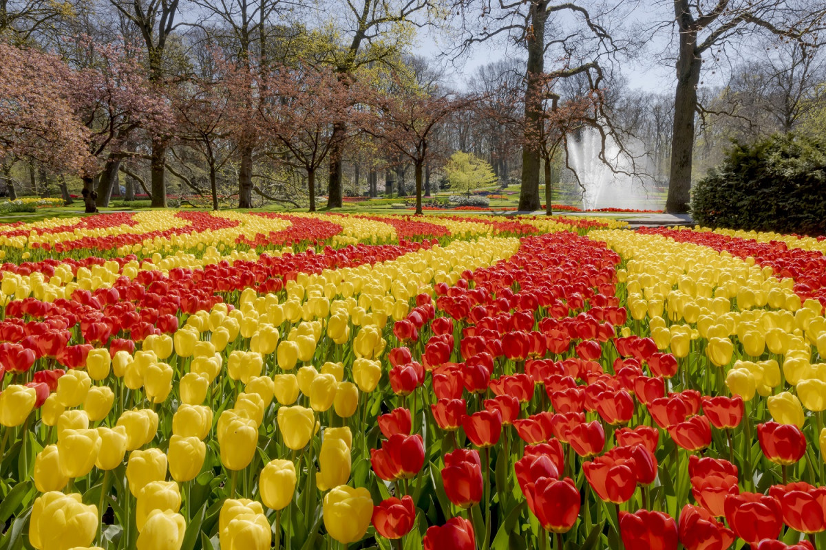 KEUKENHOF 8dda2f6c83c6b863 org