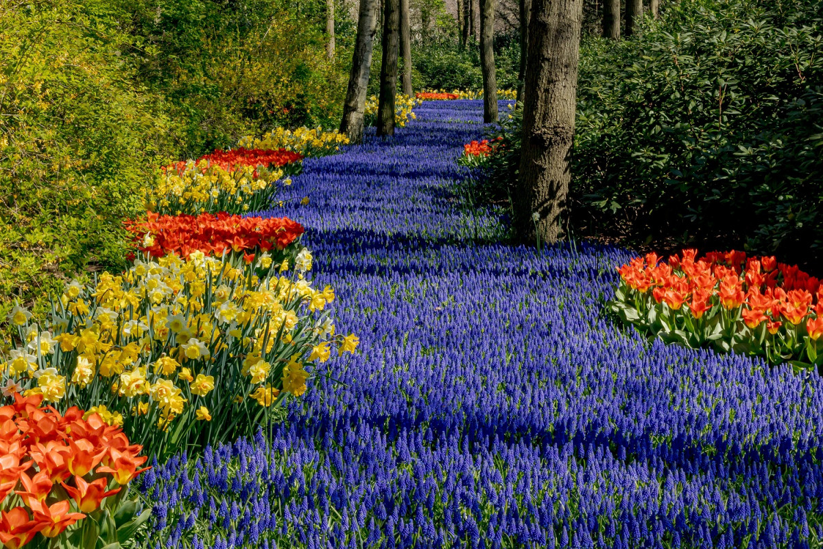 KEUKENHOF 91b47428659177ed org