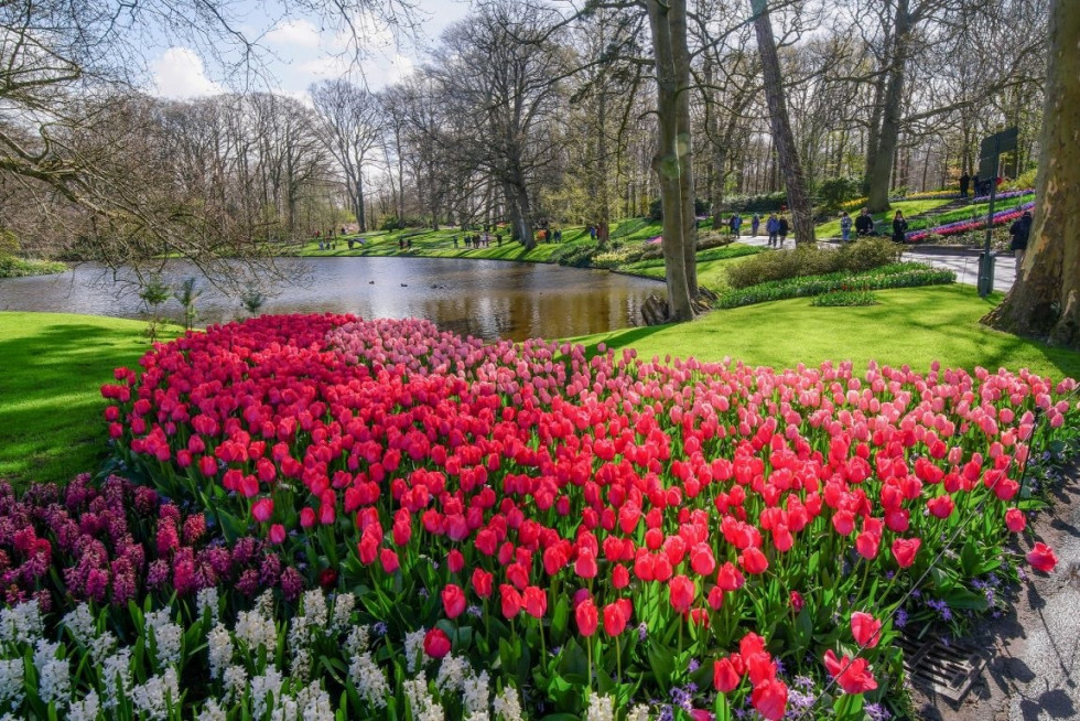 KEUKENHOF