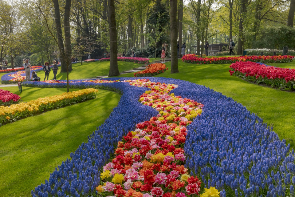 KEUKENHOF b