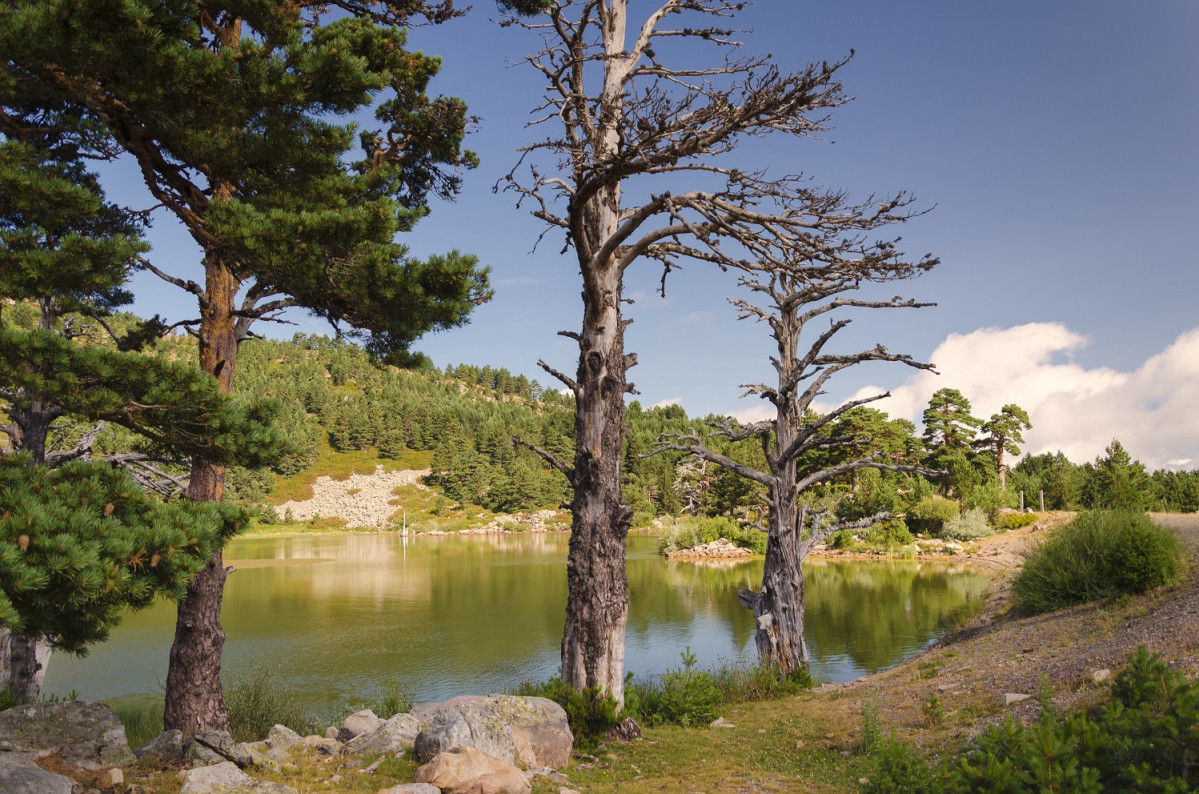 Lagunas del Neila (1)