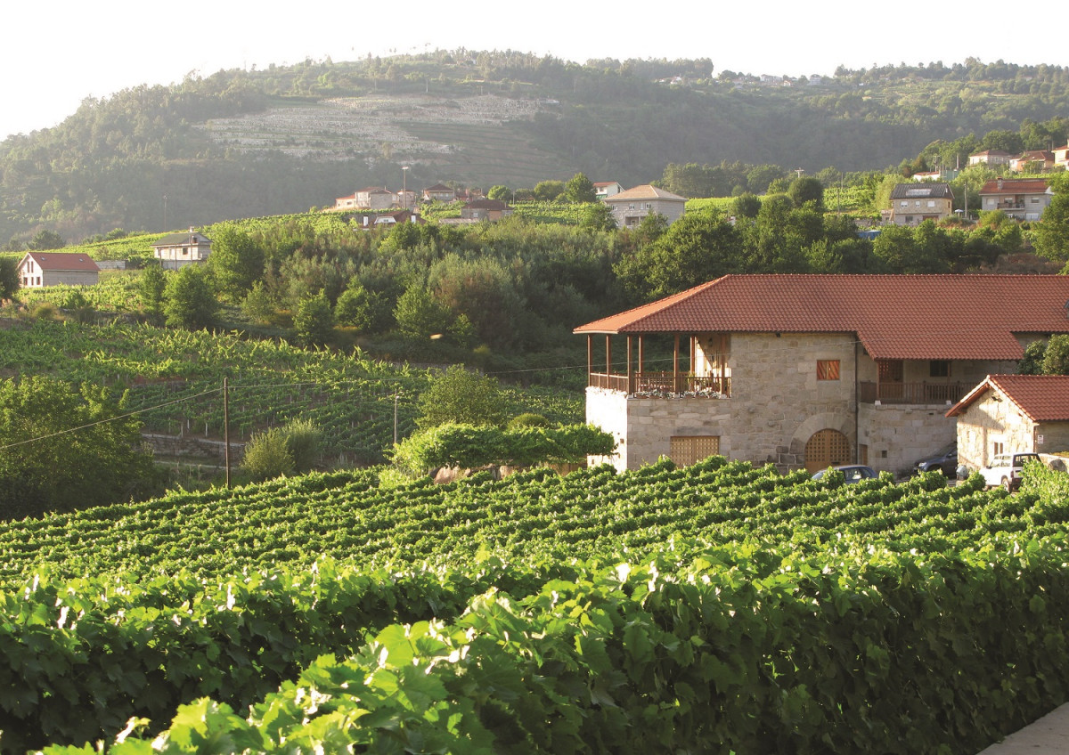 Bodega Sanclodio (1)