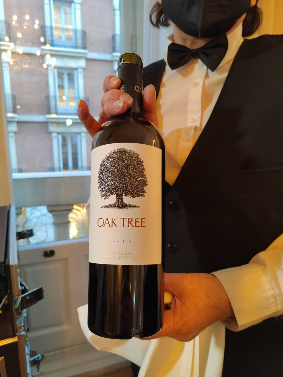 Oak Tree de Minkov Brothers