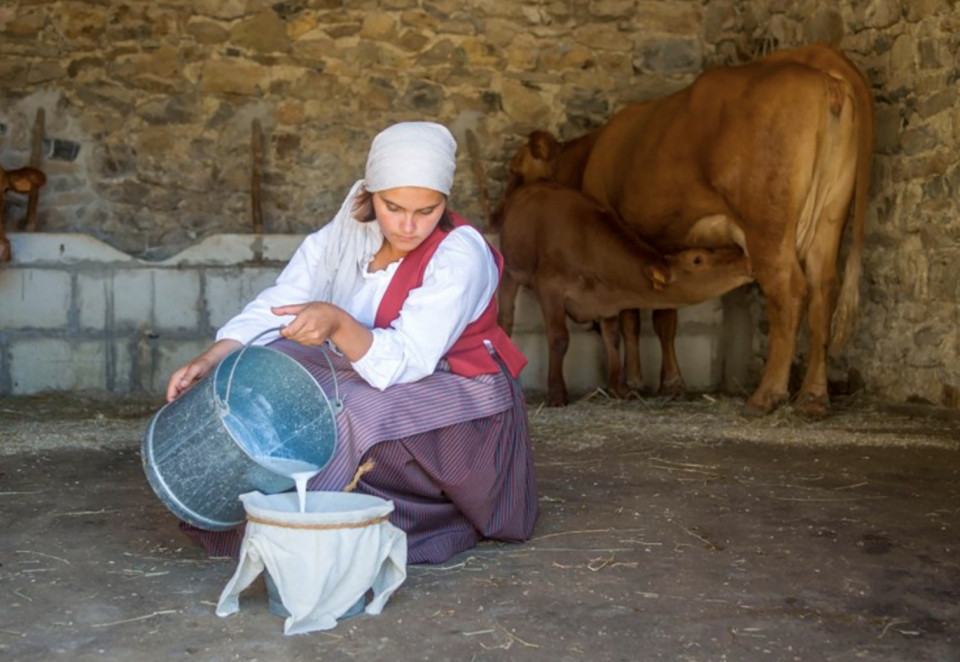 Granja queso, Menorca
