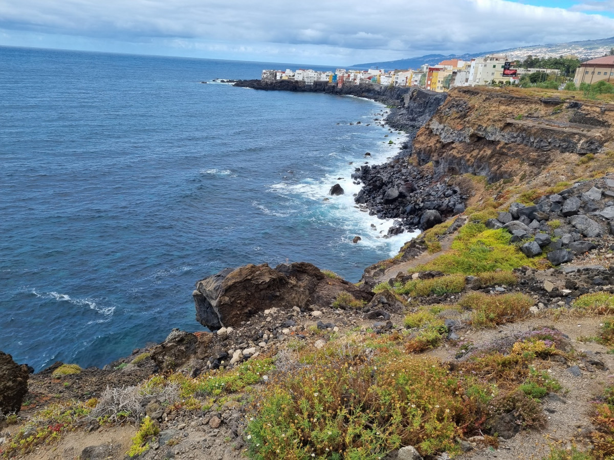 Los Realejos, Tenerife