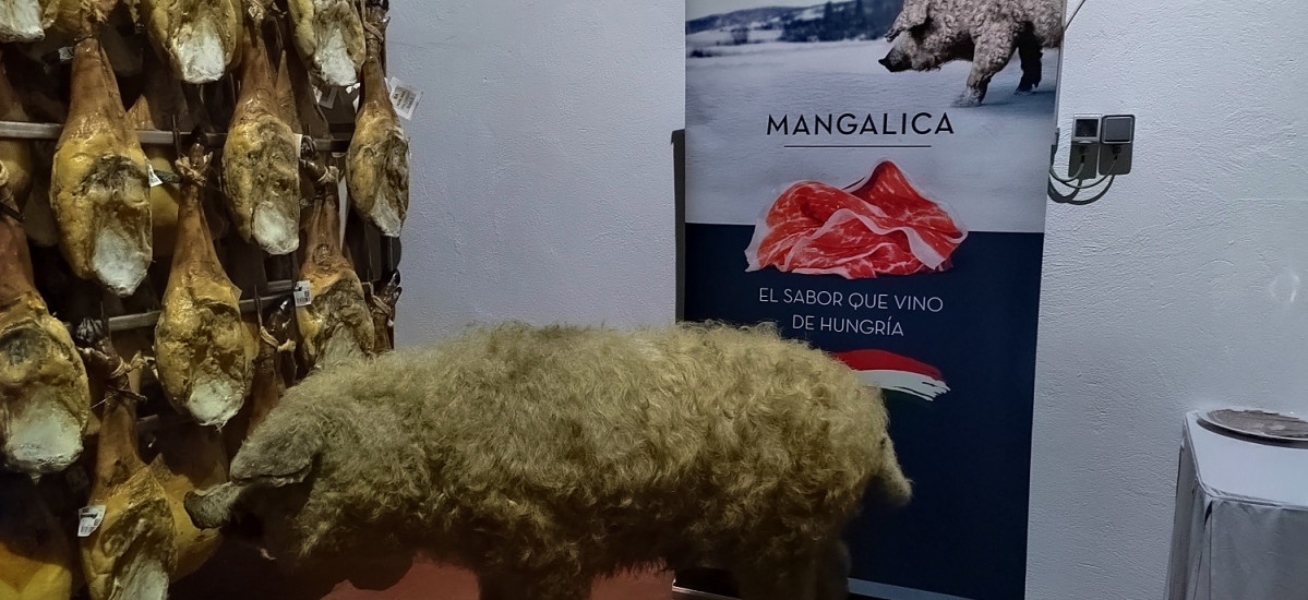 Monte Nevado Mangalica