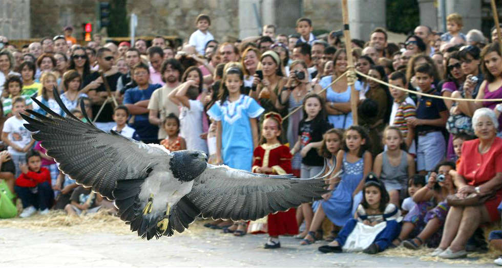 Portada de Avila Medieval 2018