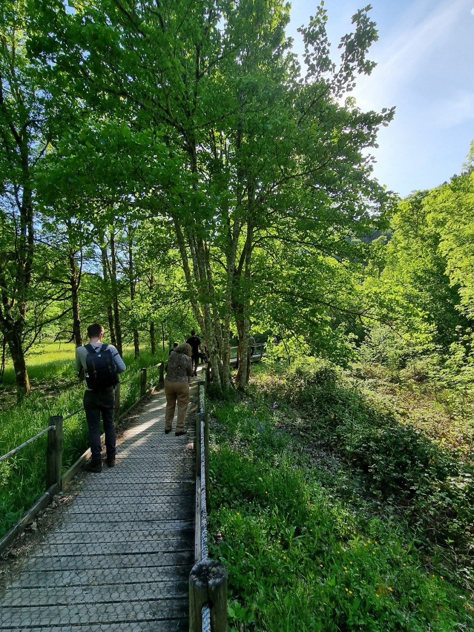 BOSQUE DE MUNIELLOS